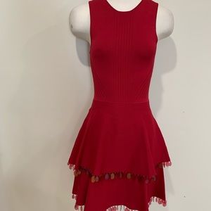 NWOT Red Parker Dress size Small